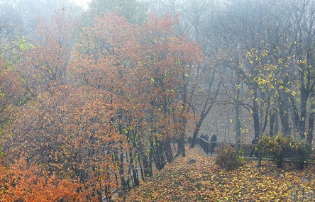 Свежие новости: В выходные на Николаевщине будет до +9° и без осадков