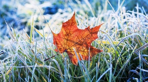 Свежие новости: В Украину идут первые морозы - синоптик