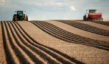 Свежие новости: Аренда сельхозземель в Украине выросла на 50%