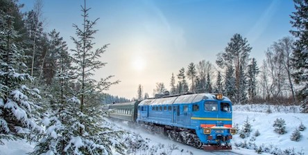 Свежие новости: 