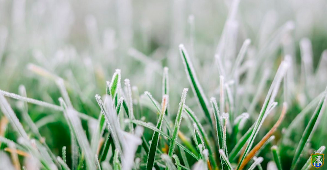 Свежие новости: У Південноукраїнській громаді очікуються заморозки до -3°