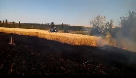 Свежие новости: На Николаевщине четвертый раз за неделю на полях горела пшеница
