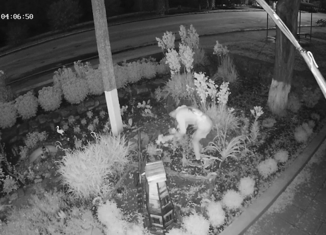 Свежие новости: В Баштанке местный житель регулярно обворовывает цветочные клумбы