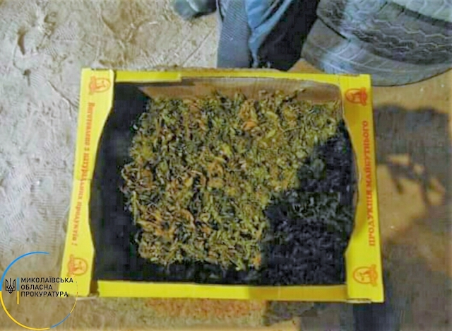 Свежие новости: Житель Вознесенского района, который хранил наркотики и оружие, угрожал следователю