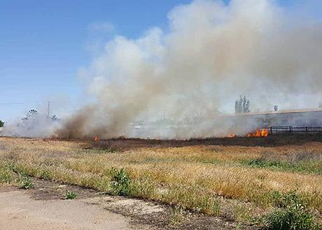Свежие новости: На Николаевщине за сутки 17 раз горели сухая трава и камыши - огонь охватил 4,6 гектара