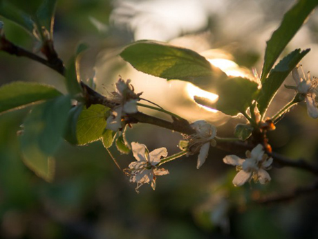 Свежие новости: Сегодня в Украине до 23 градусов тепла