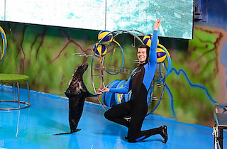 Свежие новости: У одеському дельфінарії «Немо» причетних до експлуатації тварин ще не покарали: зооактивісти обурені