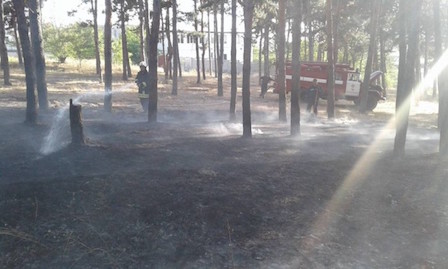 Свежие новости: На Николаевщине горит лесное урочище