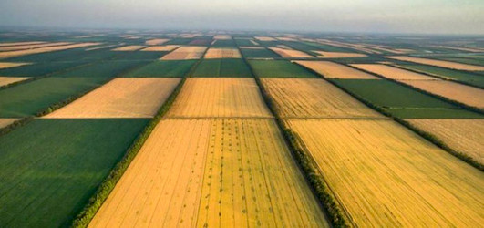 Свежие новости: Земельні ділянки реєструватимуть за новими правилами