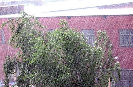 Свежие новости: На Украину надвигаются дожди и грозы