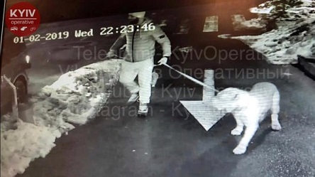 Свежие новости: В Киеве в элитном ЖК собачник убил автомобилиста