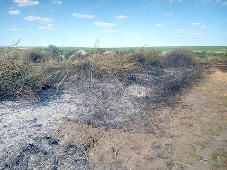 Свежие новости: У Первомайську продовжують горіти сухостої