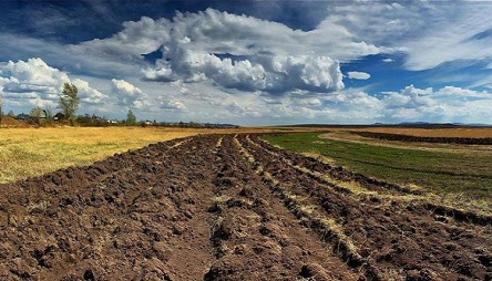 Свежие новости: Після відкриття ринку тільки 7% землевласників продадуть свої паї