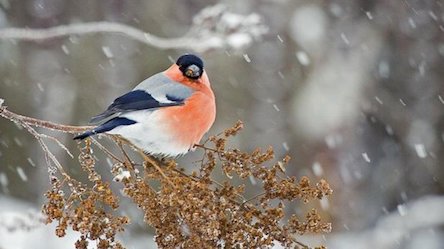 Свежие новости: Інформація про погодні умови на території Миколаївської області 23 січня