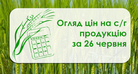 Свежие новости: Як змінилась вартість зернових та олійних у Миколаївській області — огляд цін на с/г продукцію за 26 червня