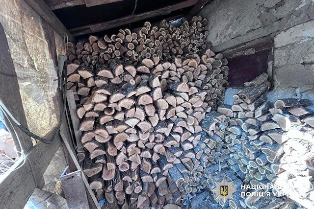 Свежие новости: На Миколаївщині викрили незаконну вирубку лісу на понад 800 тисяч гривень