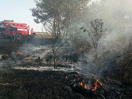 Свежие новости: Николаевские спасатели бьют тревогу из-за пожаров в полях и лесах