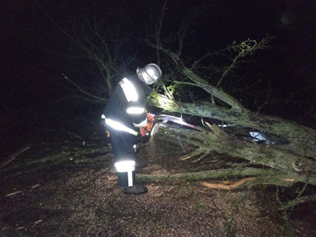 Фото новости: В Николаевской области упавшее дерево перекрыло проезд по дороге Свежие новости: В Николаевской области упавшее дерево перекрыло проезд по дороге