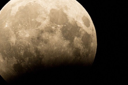 Свежие новости: Главный 