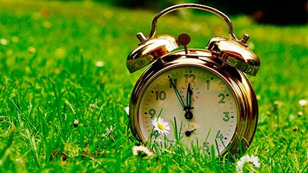 Свежие новости: Украина в ночь перед выборами перейдет на летнее время