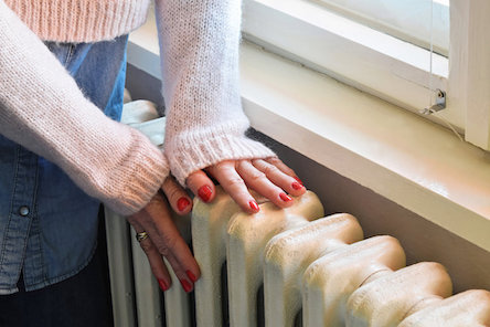 Свежие новости: В 