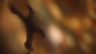 Свежие новости: В Николаеве покончил с собой школьник