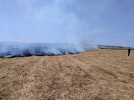Свежие новости: За минувшие сутки на Николаевщине произошел 10 пожаров на площади 40 гектаров