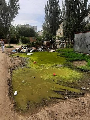 Свежие новости: Николаевцы жалуются на кучи мусора во дворах домов