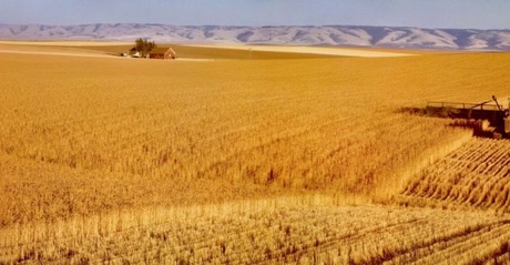 Свежие новости: Назван топ-10 товаров украинского аграрного экспорта