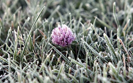 Свежие новости: В Николаеве ночью ожидаются заморозки на почве