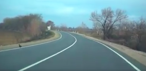 Свежие новости: Савченко отчитался, что в 2017 году потрачено больше 300 миллионов на Снигиревскую трассу, которую так и не достроили