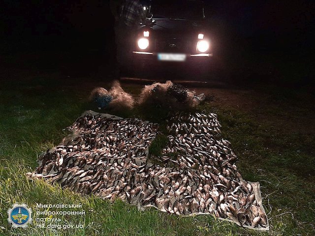 Свежие новости: Житель Новой Одессы во время нереста незаконно ловил рыбу сетками