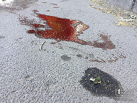 Свежие новости: В Кривом Роге неизвестные похитили и застрелили человека