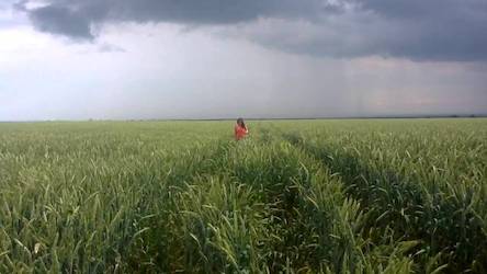 Свежие новости: Дожди и потепление: прогноз погоды на сегодня