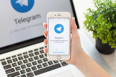 Свежие новости: В Telegram появились боты, торгующие личными данными украинцев