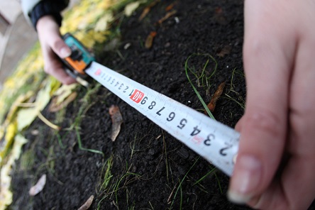 Свежие новости: 16% украинских пайщиков намерены продать свою землю – соцопрос