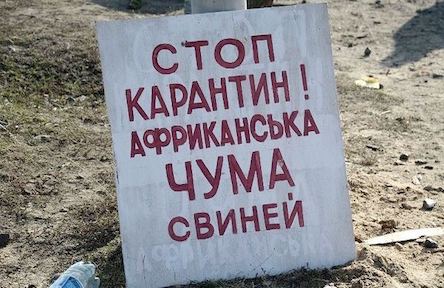 Свежие новости: Сельский совет Коблево обеспокоен АЧС и просит жителей Громады быть бдительными