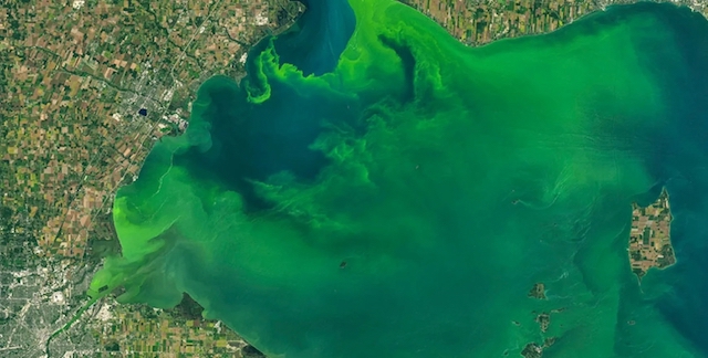 Свежие новости: В Одесі вода в морі почала світитися яскраво-блакитним кольором