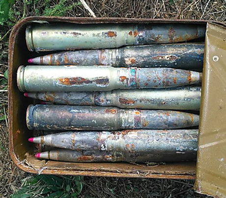 Свежие новости: В Березанском районе нашел ящик со снарядами, когда пас скот