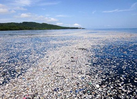 Свежие новости: Человечество загрязнило 60% мирового океана — исследование