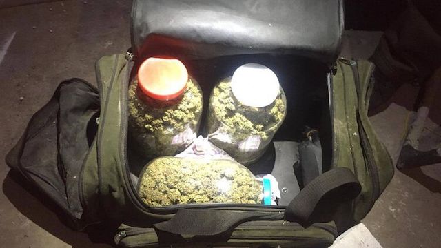 Свежие новости: Полиция забрала у мужчины 75 растений конопли и все оборудование для ее выращивания