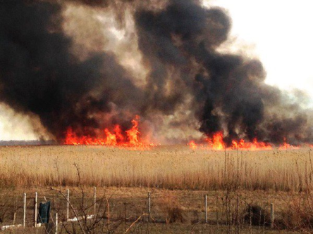 Свежие новости: В Николаеве тушили 4000 кв м камыша