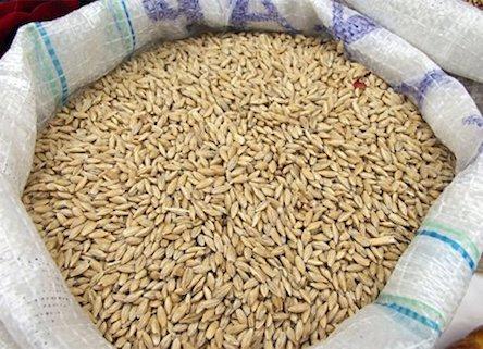 Свежие новости: Полиция задержала николаевца, который  пытался украсть с грузового поезда 400 кг пшеницы