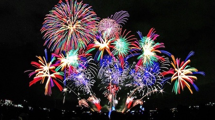 Свежие новости: В Одессе в новогоднюю ночь из-за фейерверков погибли десятки птиц и животных