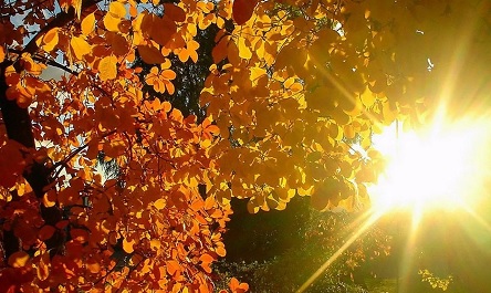 Свежие новости: Україна завтра буде однією з найтепліших країн Європи - вдень до +24°