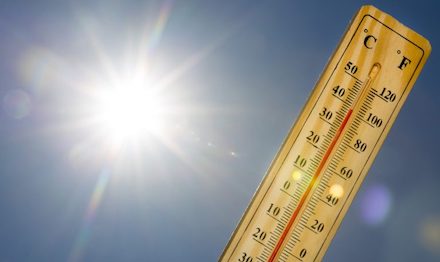 Свежие новости: Жара в Киеве побила все исторические рекорды