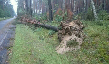 Свежие новости: Украину ожидает гроза, которая унесла пять жизней в Польше