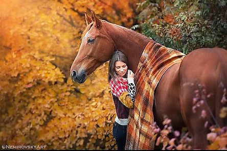 Свежие новости: В Николаеве девушка упала с лошади и сломала позвоночник – теперь ей необходима дорогостоящая операция