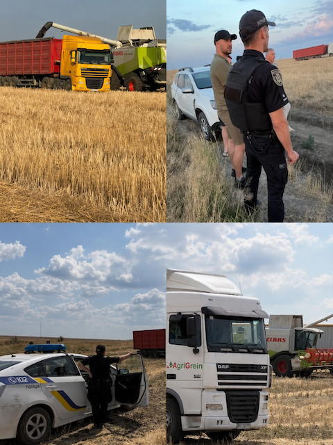 Свежие новости: Грабіж на Миколаївщині! Посіяв СФГ «Волощакевич» - врожай збирають інші!