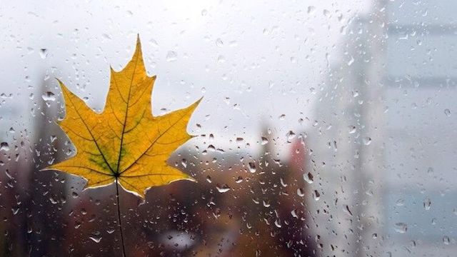 Свежие новости: В Украину идет мощный циклон Бриджит: погода будет непредсказуемой